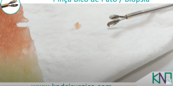 Pinça Biópsia - Video Demonstrativo Geral